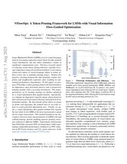 VFlowOpt: A Token Pruning Framework for LMMs with Visual Information Flow-Guided Optimization