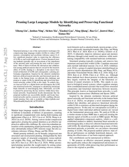 Pruning Large Language Models by Identifying and Preserving Functional Networks