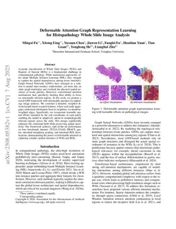 Deformable Attention Graph Representation Learning for Histopathology Whole Slide Image Analysis