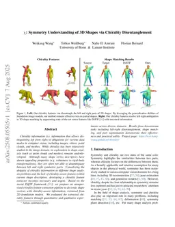 Symmetry Understanding of 3D Shapes via Chirality Disentanglement