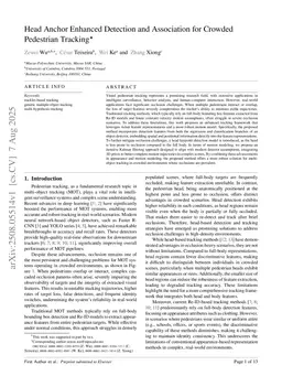 Head Anchor Enhanced Detection and Association for Crowded Pedestrian Tracking