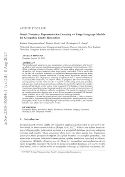 Omni Geometry Representation Learning vs Large Language Models for Geospatial Entity Resolution