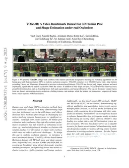 VOccl3D: A Video Benchmark Dataset for 3D Human Pose and Shape Estimation under real Occlusions