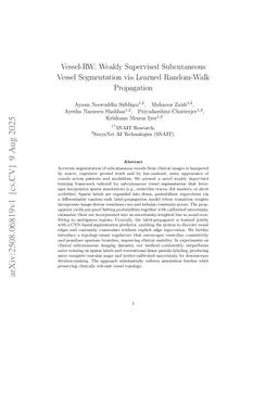 VesselRW: Weakly Supervised Subcutaneous Vessel Segmentation via Learned Random Walk Propagation