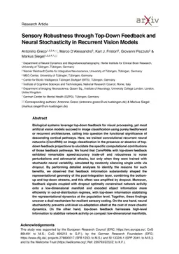 Sensory robustness through top-down feedback and neural stochasticity in recurrent vision models