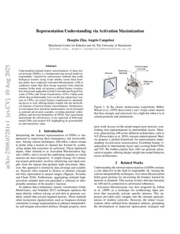 Representation Understanding via Activation Maximization
