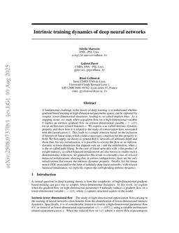Intrinsic training dynamics of deep neural networks