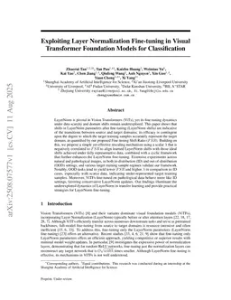 Exploiting Layer Normalization Fine-tuning in Visual Transformer Foundation Models for Classification