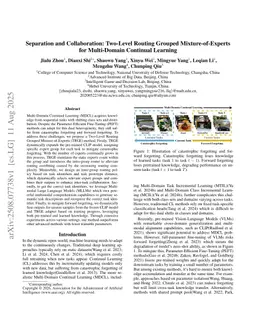 Separation and Collaboration: Two-Level Routing Grouped Mixture-of-Experts for Multi-Domain Continual Learning