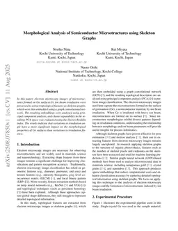 Morphological Analysis of Semiconductor Microstructures using Skeleton Graphs