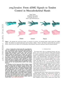 emg2tendon: From sEMG Signals to Tendon Control in Musculoskeletal Hands