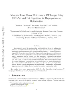 Enhanced Liver Tumor Detection in CT Images Using 3D U-Net and Bat Algorithm for Hyperparameter Optimization