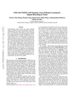 STELAR-VISION: Self-Topology-Aware Efficient Learning for Aligned Reasoning in Vision