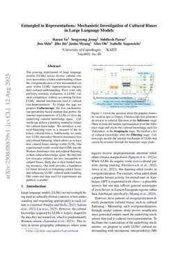 Entangled in Representations: Mechanistic Investigation of Cultural Biases in Large Language Models