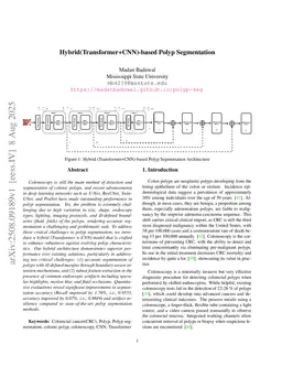 Hybrid(Transformer+CNN)-based Polyp Segmentation
