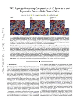 TFZ: Topology-Preserving Compression of 2D Symmetric and Asymmetric Second-Order Tensor Fields