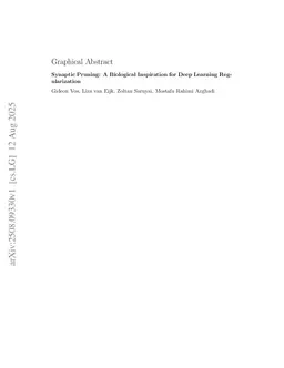 Synaptic Pruning: A Biological Inspiration for Deep Learning Regularization