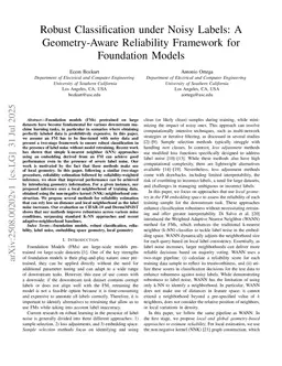 Robust Classification under Noisy Labels: A Geometry-Aware Reliability Framework for Foundation Models