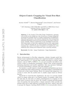 Object-Centric Cropping for Visual Few-Shot Classification