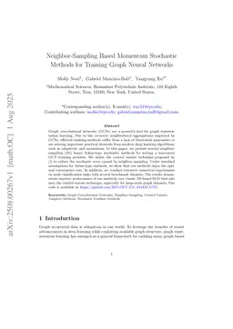 Neighbor-Sampling Based Momentum Stochastic Methods for Training Graph Neural Networks