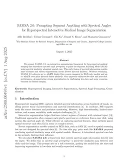 SAMSA 2.0: Prompting Segment Anything with Spectral Angles for Hyperspectral Interactive Medical Image Segmentation