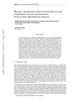 Weakly Supervised Virus Capsid Detection with Image-Level Annotations in Electron Microscopy Images
