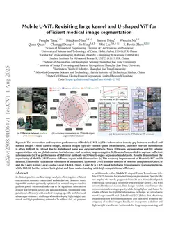 Mobile U-ViT: Revisiting large kernel and U-shaped ViT for efficient medical image segmentation