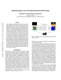 Spatial-Frequency Aware for Object Detection in RAW Image