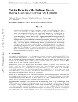 Training Dynamics of the Cooldown Stage in Warmup-Stable-Decay Learning Rate Scheduler