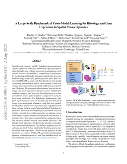 A Large-Scale Benchmark of Cross-Modal Learning for Histology and Gene Expression in Spatial Transcriptomics