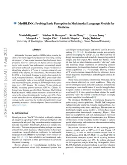 MedBLINK: Probing Basic Perception in Multimodal Language Models for Medicine