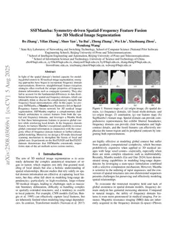 SSFMamba: Learning Symmetry-driven Spatial-Frequency Modeling for Physically Consistent 3D Medical Image Segmentation