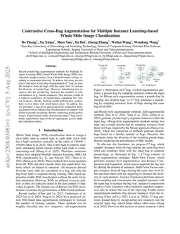 Contrastive Cross-Bag Augmentation for Multiple Instance Learning-based Whole Slide Image Classification