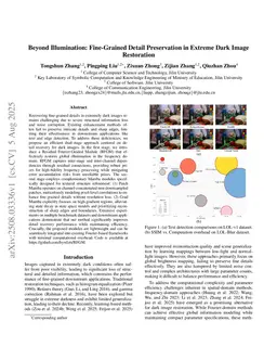 Beyond Illumination: Fine-Grained Detail Preservation in Extreme Dark Image Restoration