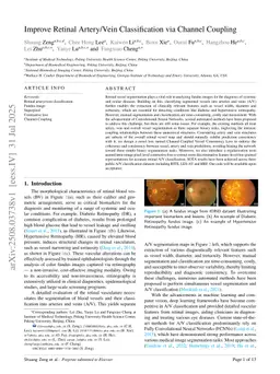 Improve Retinal Artery/Vein Classification via Channel Couplin
