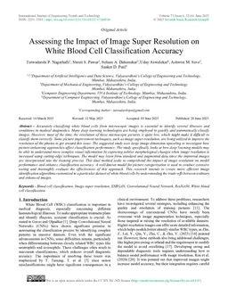 Assessing the Impact of Image Super Resolution on White Blood Cell Classification Accuracy