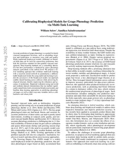 Calibrating Biophysical Models for Grape Phenology Prediction via Multi-Task Learning