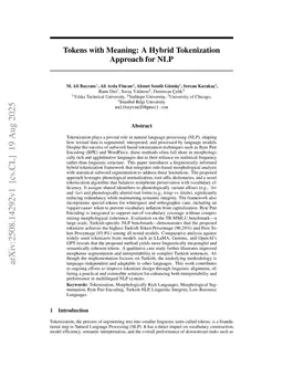Tokens with Meaning: A Hybrid Tokenization Approach for NLP
