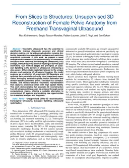 From Slices to Structures: Unsupervised 3D Reconstruction of Female Pelvic Anatomy from Freehand Transvaginal Ultrasound