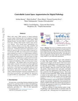 Controllable Latent Space Augmentation for Digital Pathology