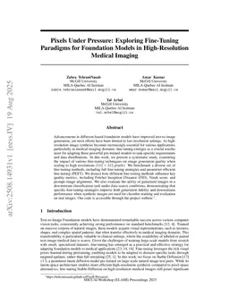 Pixels Under Pressure: Exploring Fine-Tuning Paradigms for Foundation Models in High-Resolution Medical Imaging