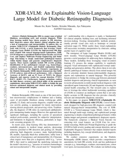 XDR-LVLM: An Explainable Vision-Language Large Model for Diabetic Retinopathy Diagnosis