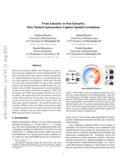 From Linearity to Non-Linearity: How Masked Autoencoders Capture Spatial Correlations