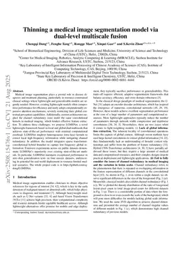 LGMSNet: Thinning a medical image segmentation model via dual-level multiscale fusion