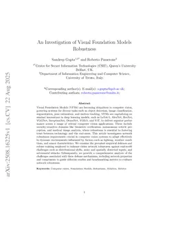 An Investigation of Visual Foundation Models Robustness