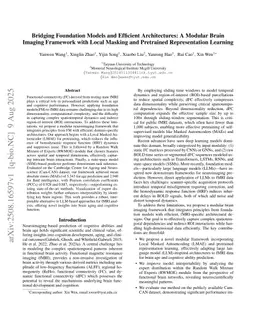 Bridging Foundation Models and Efficient Architectures: A Modular Brain Imaging Framework with Local Masking and Pretrained Representation Learning