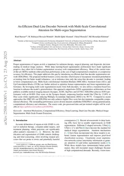 An Efficient Dual-Line Decoder Network with Multi-Scale Convolutional Attention for Multi-organ Segmentation