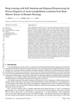Deep Learning with Self-Attention and Enhanced Preprocessing for Precise Diagnosis of Acute Lymphoblastic Leukemia from Bone Marrow Smears in Hemato-Oncology