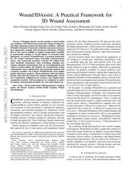 Wound3DAssist: A Practical Framework for 3D Wound Assessment