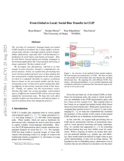 From Global to Local: Social Bias Transfer in CLIP